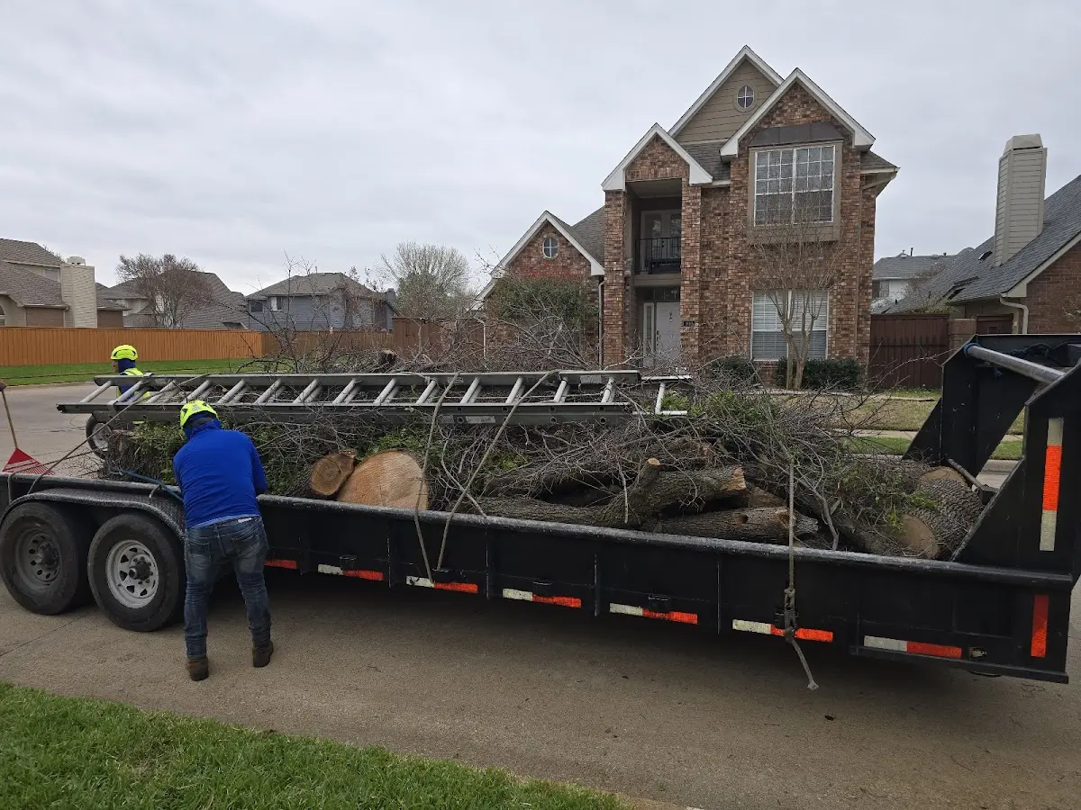 Expert Tree Removal with proper safety equipment in Round Lake